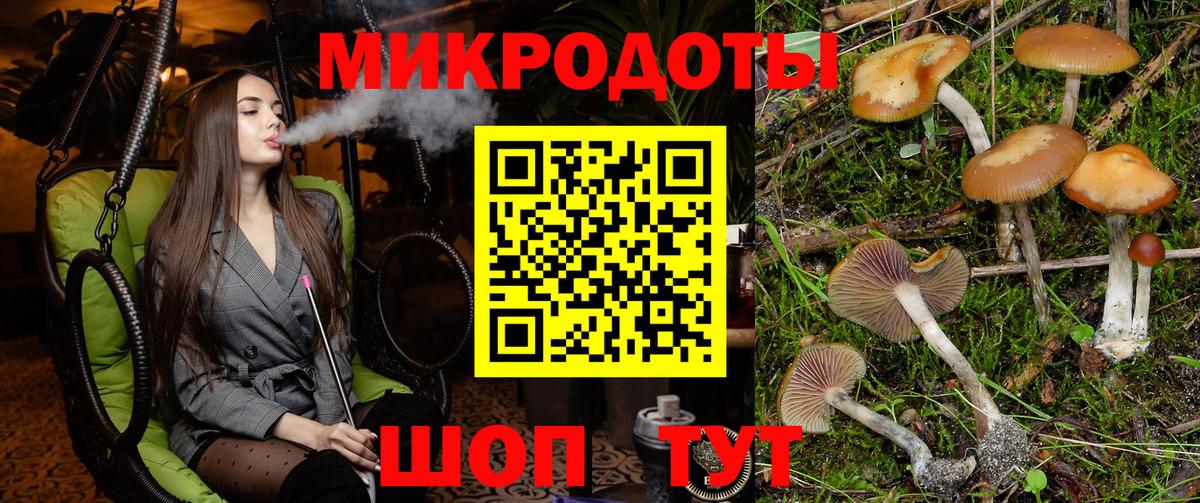 Псилоцибиновые грибы Cubensis Коркино